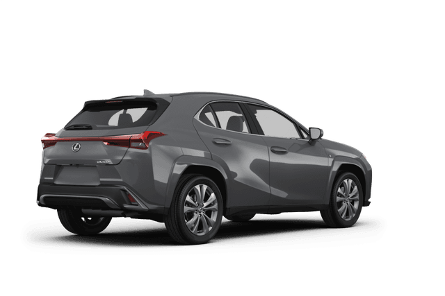 Lexus UX 300h - Back view Lexus UX 300h - Back view